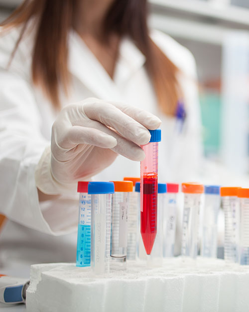 multidisciplinary team